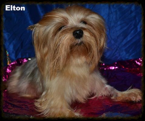 Elton