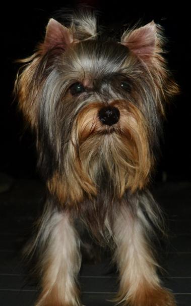Franklin