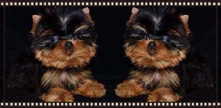 Lilian