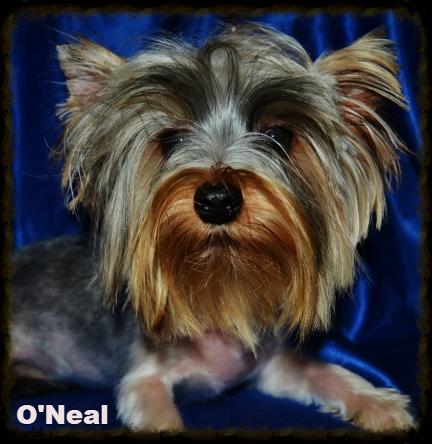 O neal