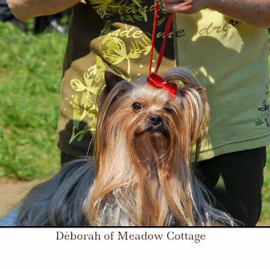 Déborah of Meadow Cottage