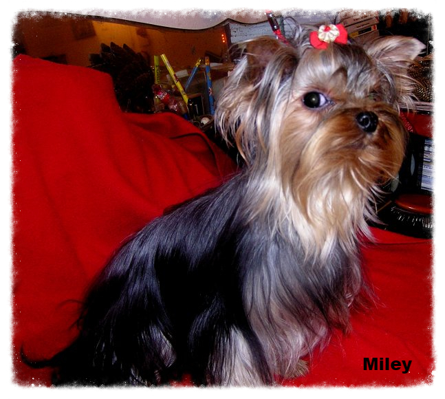 Miley