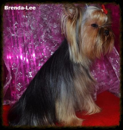 Brenda lee