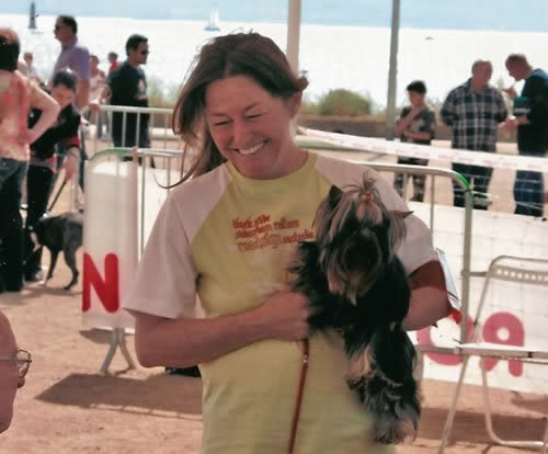 Exposition Canine Internationale Cacs Cacib Yorkshire of Meadow Cottage