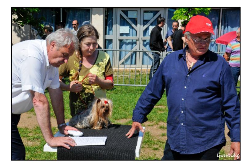 Les Juges Messieurs Eymar-Dauphin et Medart Ringuet 