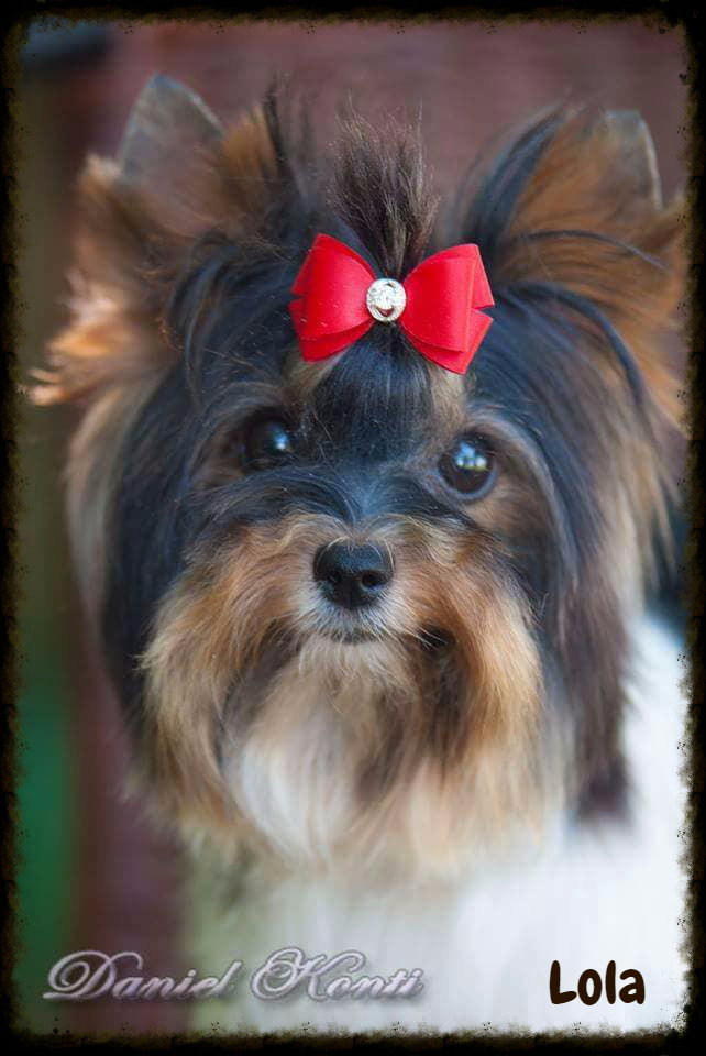 Lola