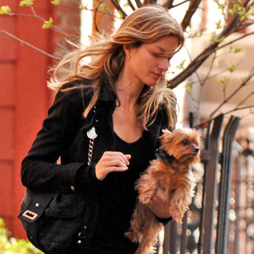 Gisèle Bündchen et son York