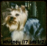 Whitney